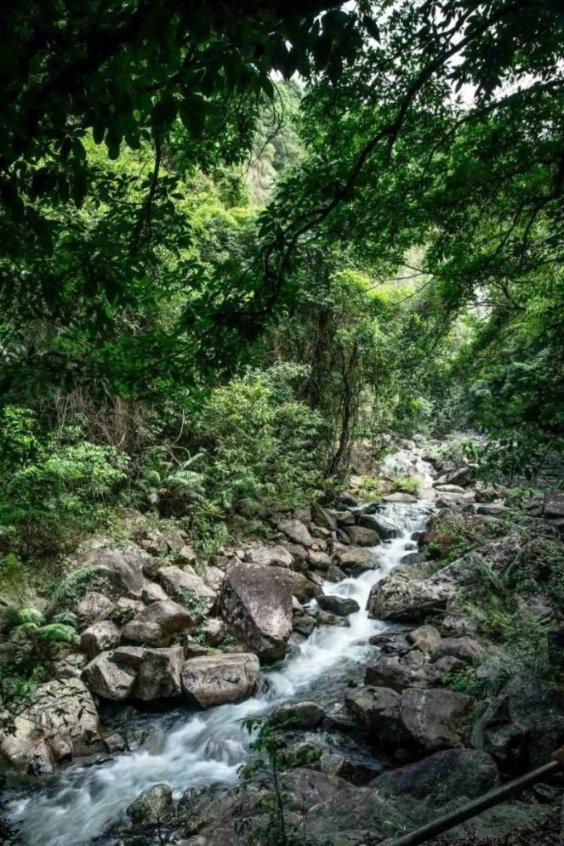 探索杭帮菜招牌西湖醋鱼的来历,居然是来自一个小叔子和嫂子的故事?,汇聚分享的红迪社区
