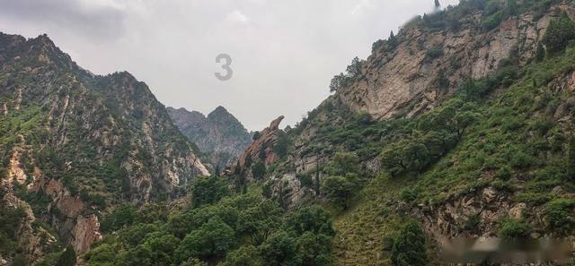李贞贤为什么这么红红迪网平台-多元化交流与分享的社区
